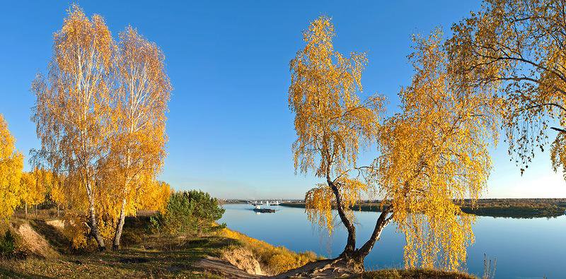 осень - оригинал