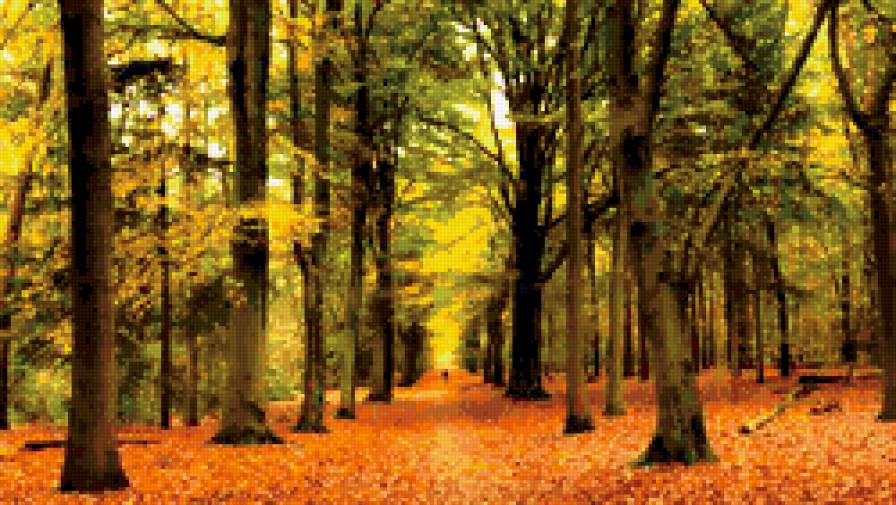 парк - природа - предпросмотр