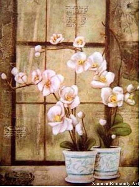 orchidea - оригинал