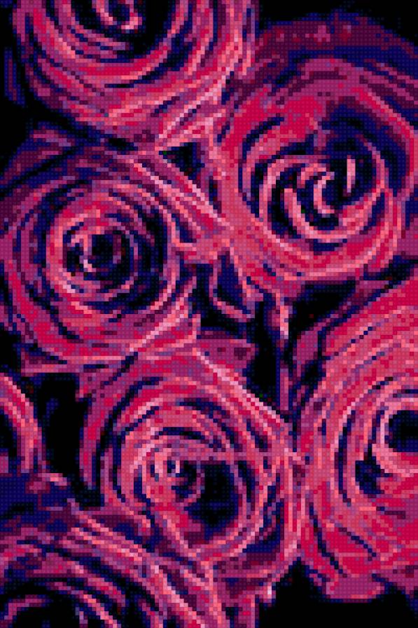 розы - цветы, розы - предпросмотр