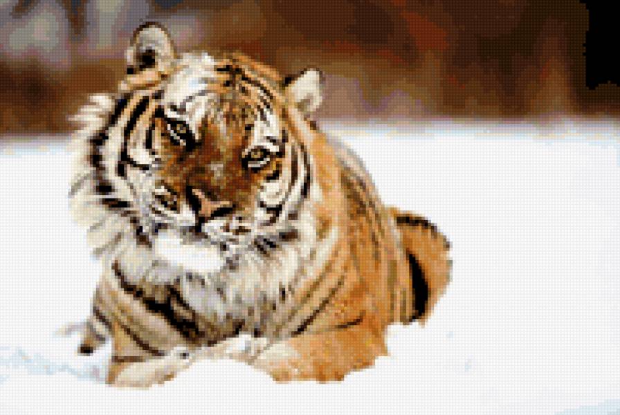 Tigris - предпросмотр