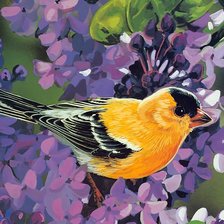 Схема вышивки «птичка-невеличка»