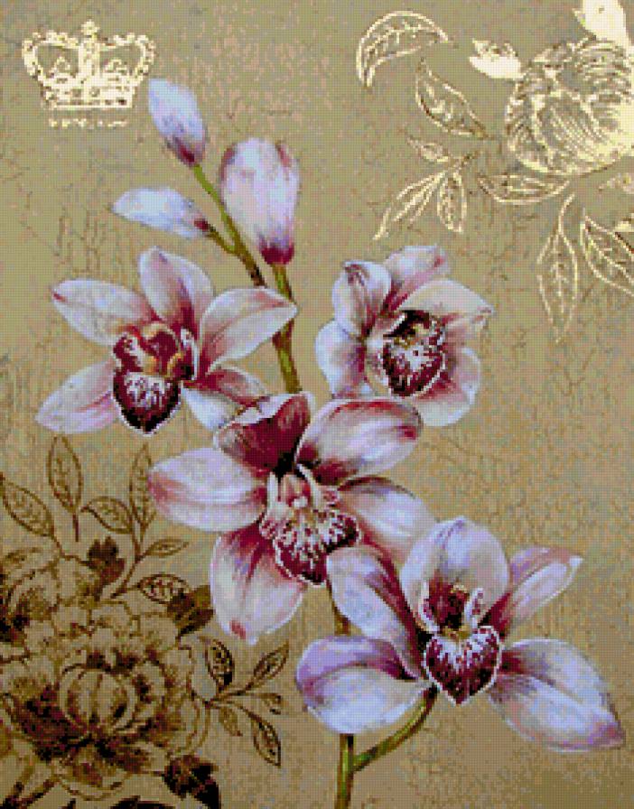 Королевские орхидеи. - цветы, орхидеи. - предпросмотр