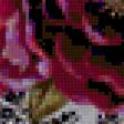Предпросмотр схемы вышивки «Натюрморт с розой.» (№229091)