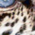 Предпросмотр схемы вышивки «дикие кошки. ягуар» (№229244)