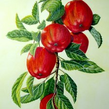 Схема вышивки «№229291»