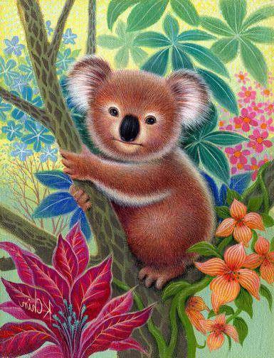 коала - цвет, коала - оригинал