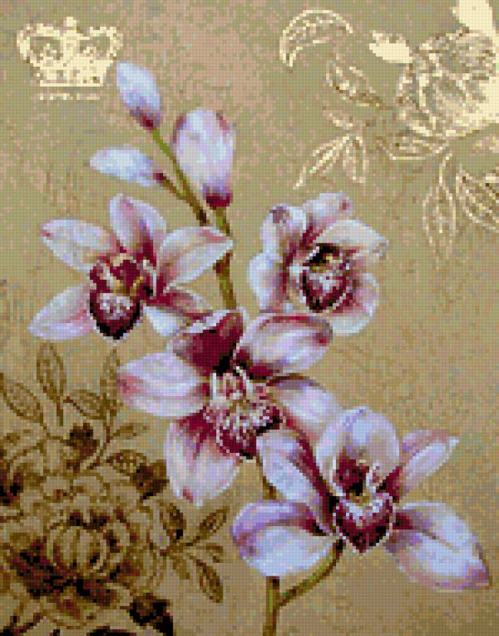 orchidea - предпросмотр