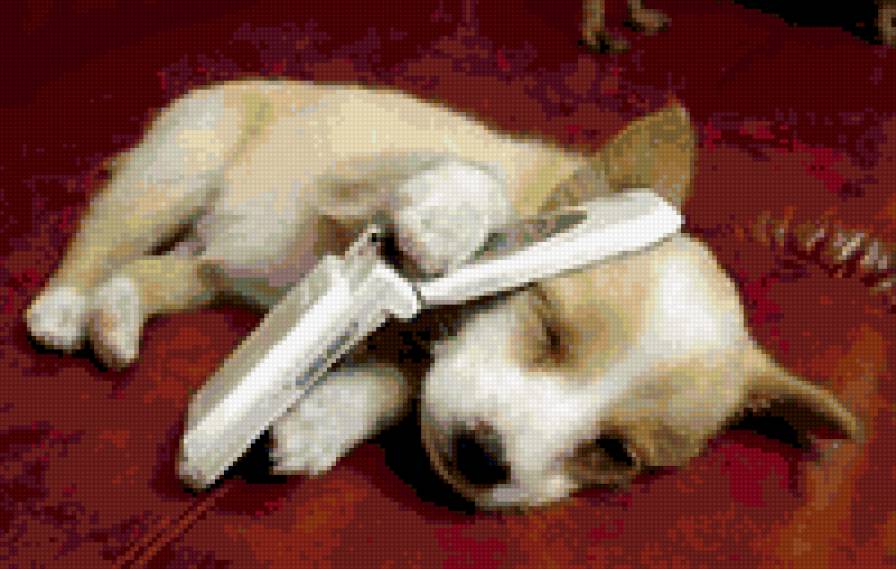 алло!!! - сон, щенок, прелесть, фауна, животные - предпросмотр