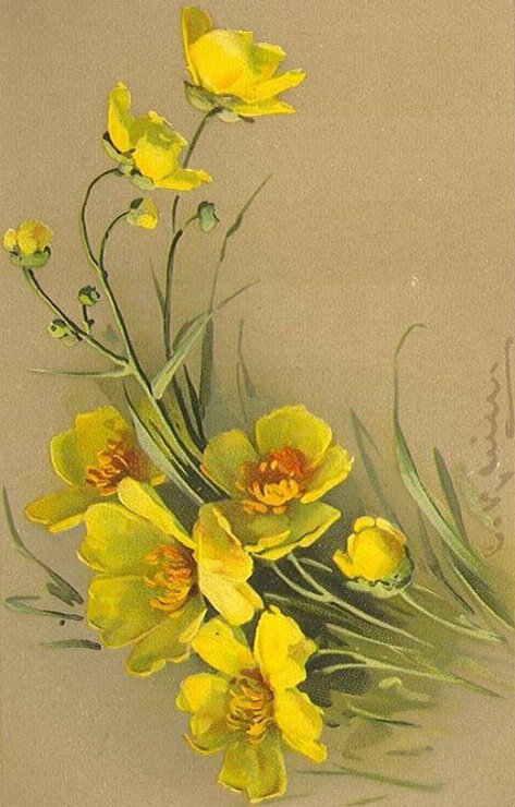 orchidea - оригинал