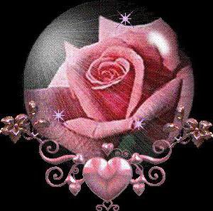 Чудная роза - розы, цветы, букет, натюрморт, роза, розовые цветы, романтика - оригинал