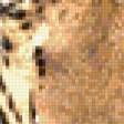 Предпросмотр схемы вышивки «леопард» (№229467)