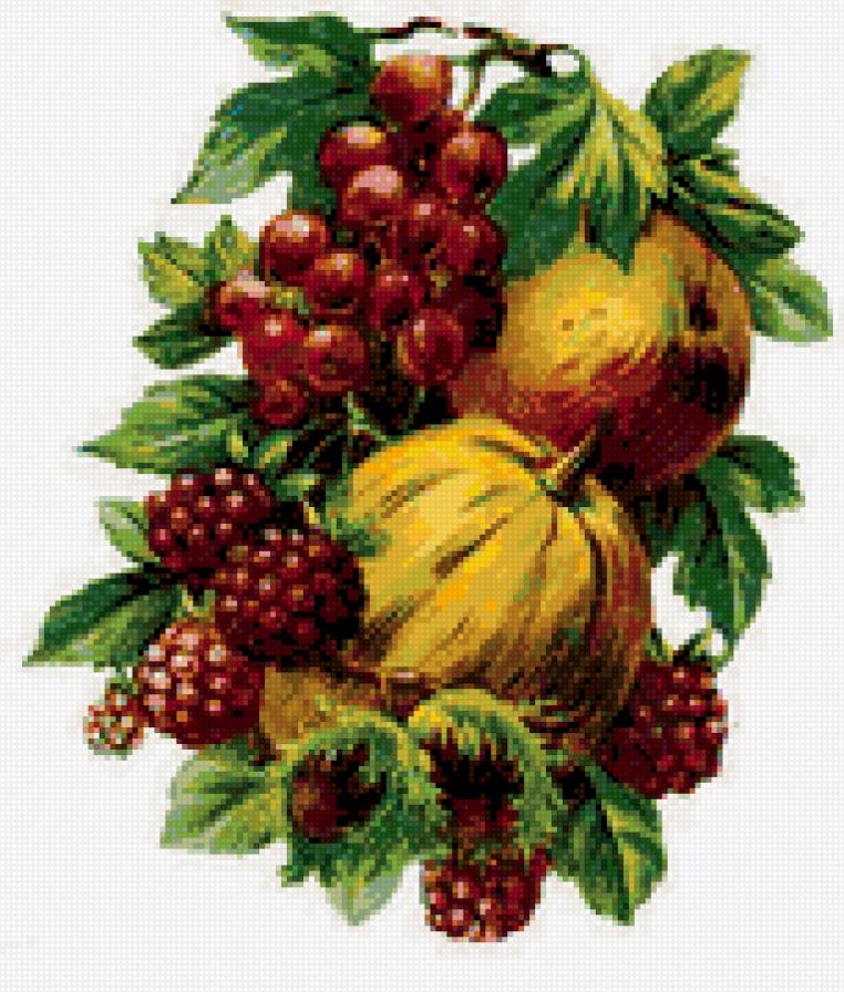 фрукты - предпросмотр