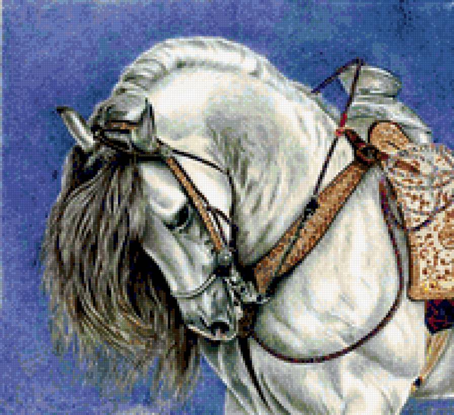 paripa - предпросмотр