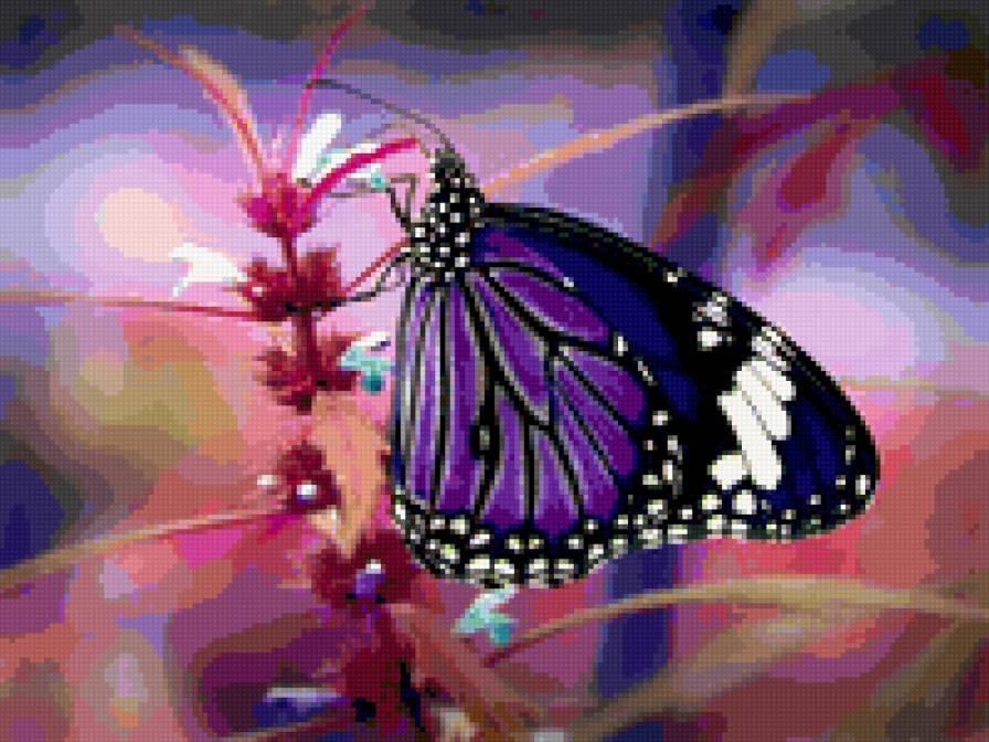 бабочка - бабочка - предпросмотр