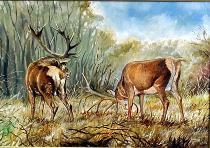 szarvas - оригинал