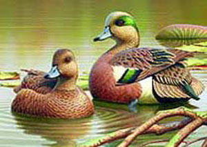 №229774 - оригинал