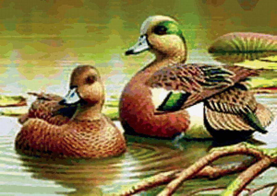 №229774 - предпросмотр