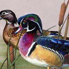 Схема вышивки «№229775»