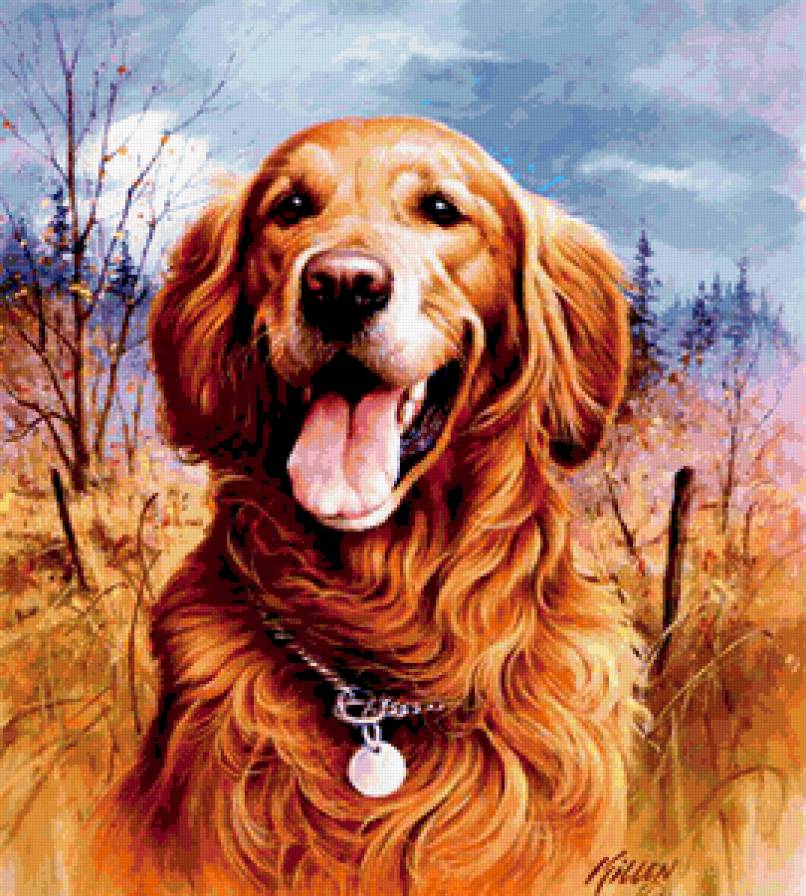 №229785 - предпросмотр