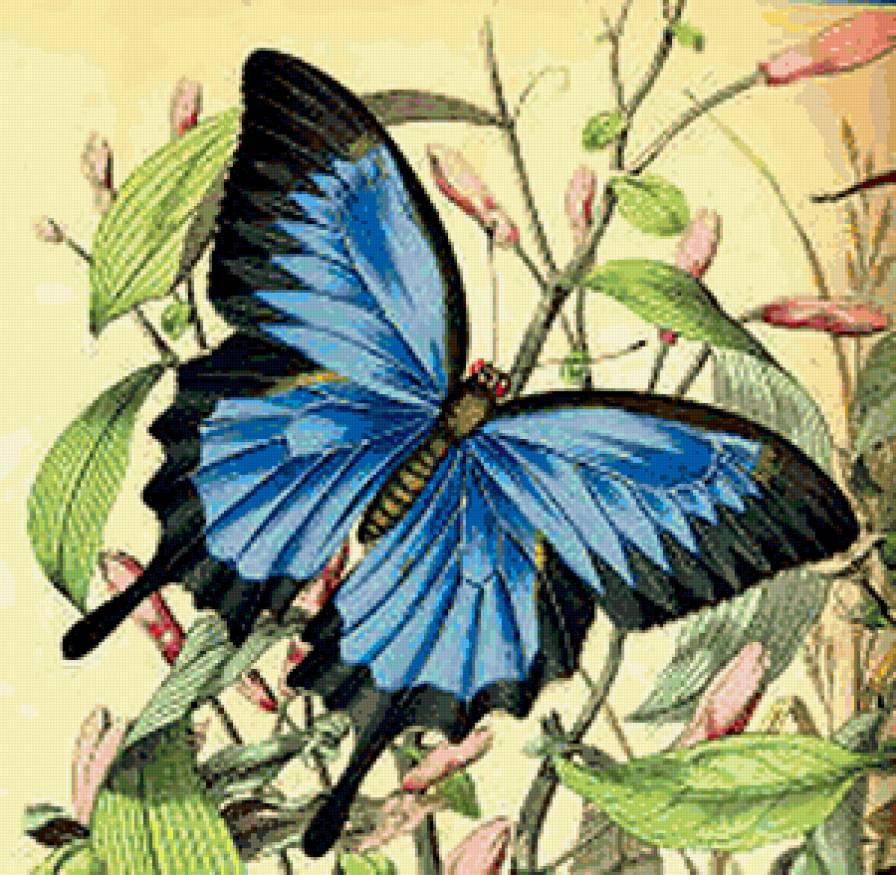 №229821 - предпросмотр