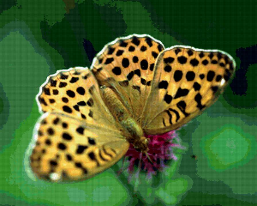 №229836 - предпросмотр