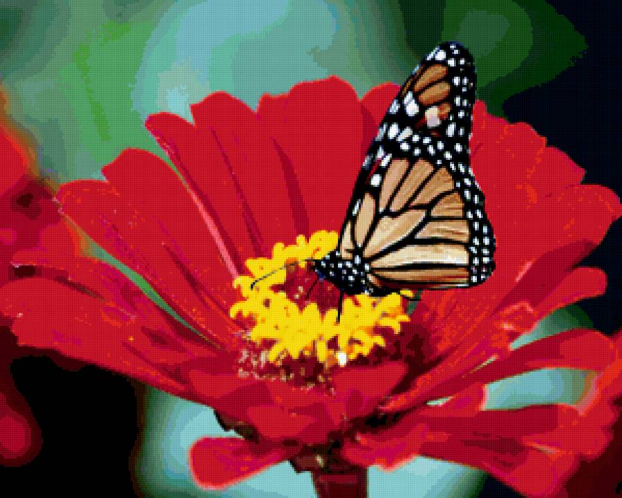 №229838 - предпросмотр