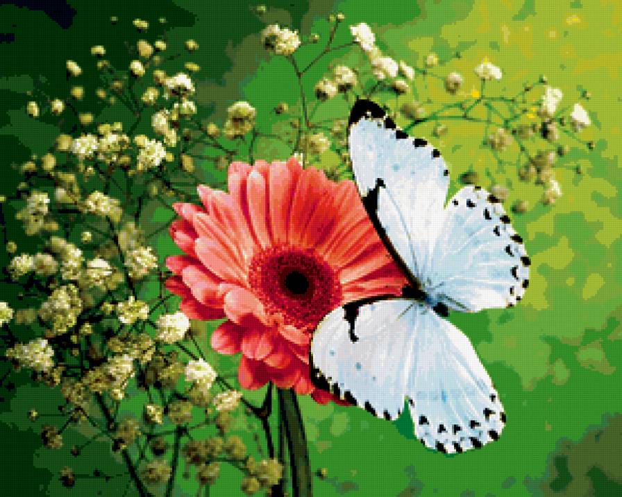 №229839 - предпросмотр