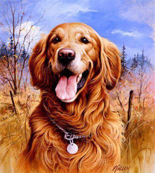 kutyus - оригинал