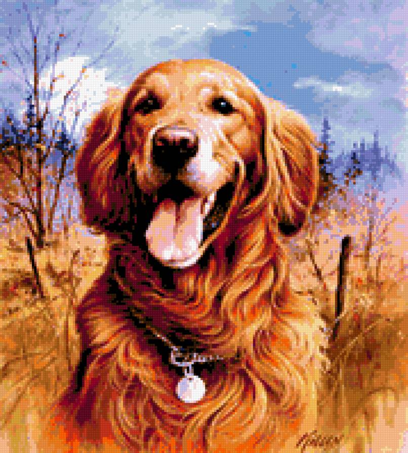 kutyus - предпросмотр