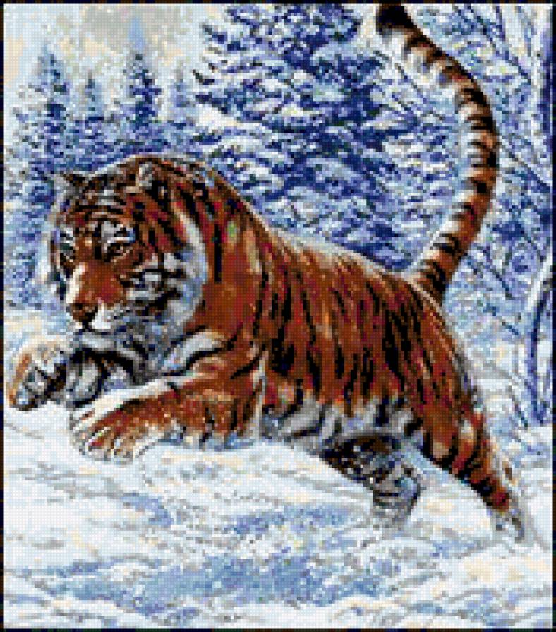 Tigris - предпросмотр