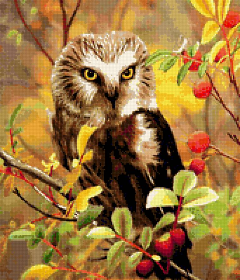 bag - предпросмотр