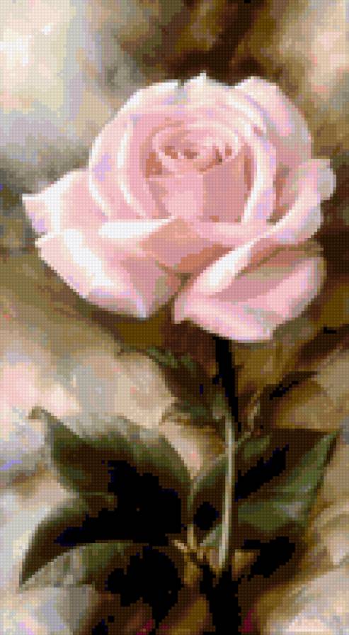 rózsa - предпросмотр