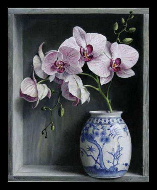 orchidea - оригинал