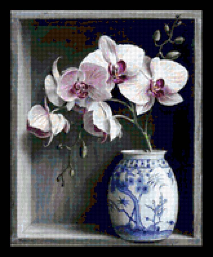 orchidea - предпросмотр