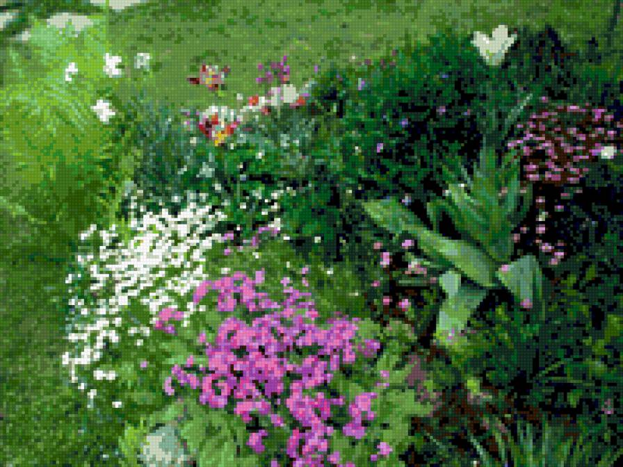 после дождичка - пион, цветы - предпросмотр