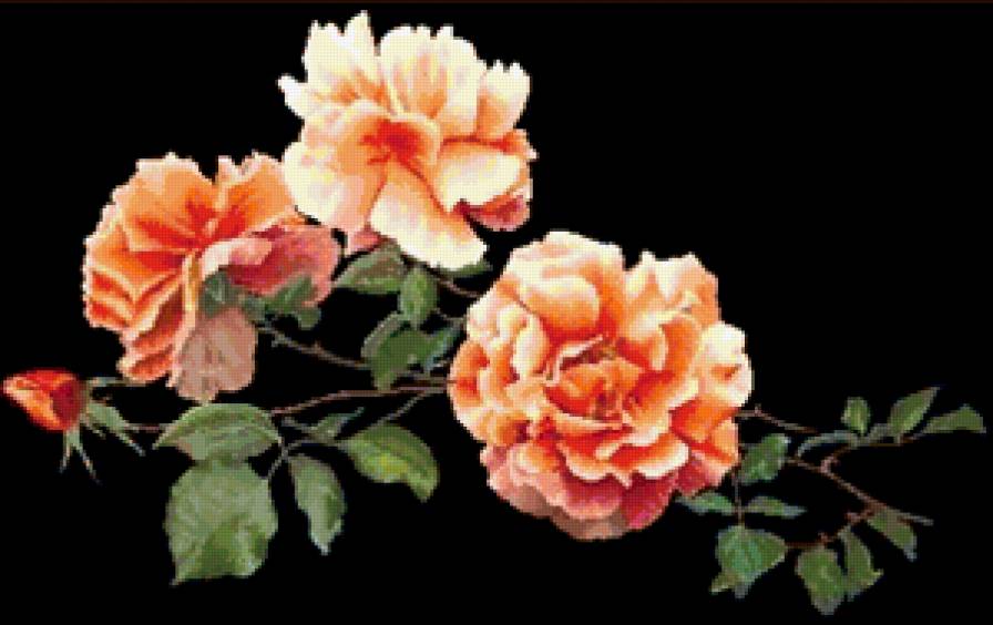 №230209 - предпросмотр