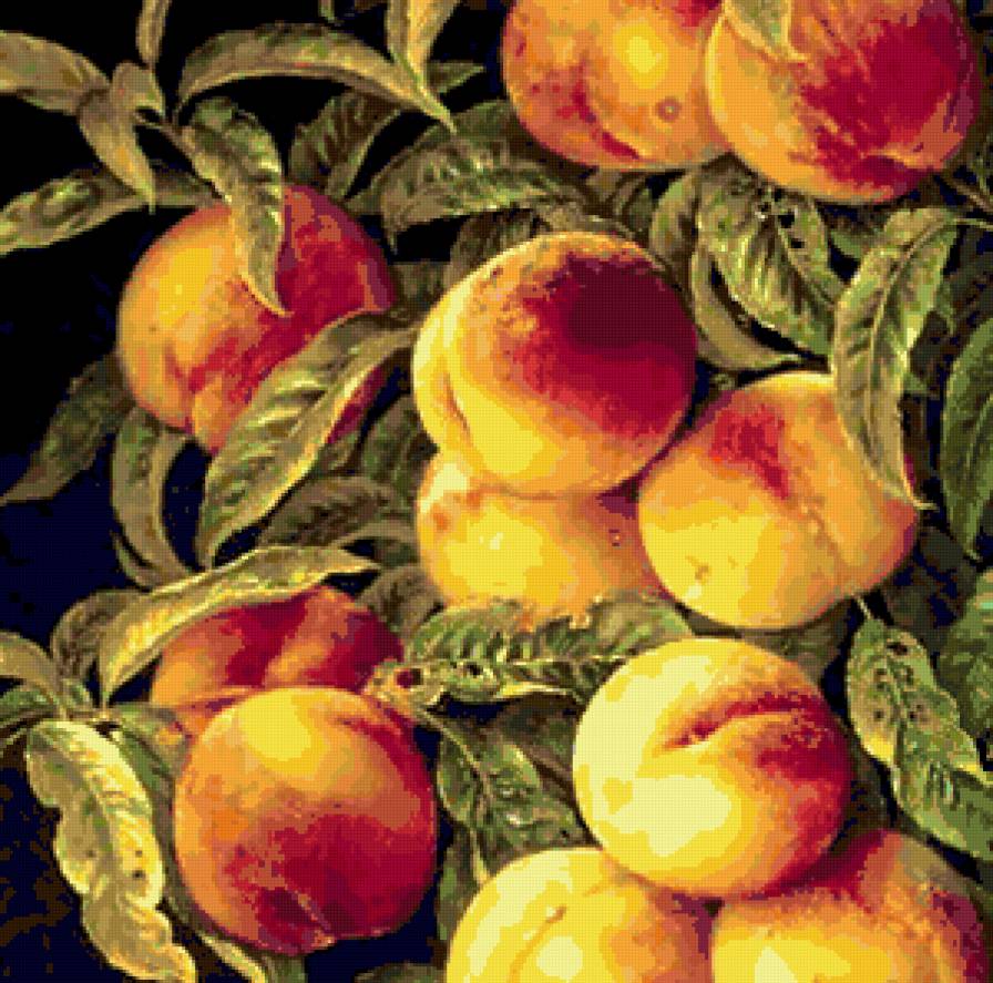 Персики - фрукты - предпросмотр