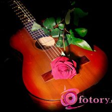 Схема вышивки «дуэт»