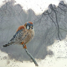 Схема вышивки «птичка»