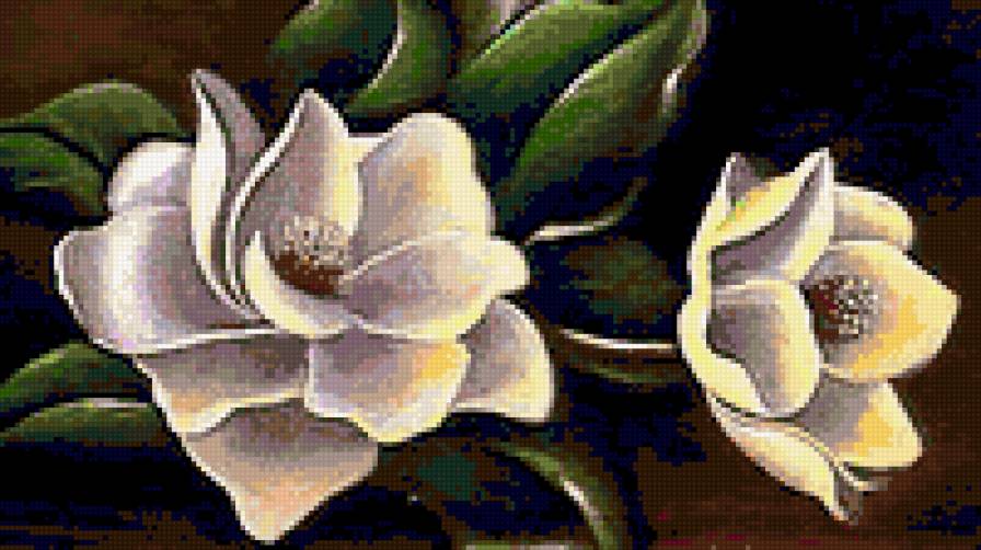 virág - предпросмотр