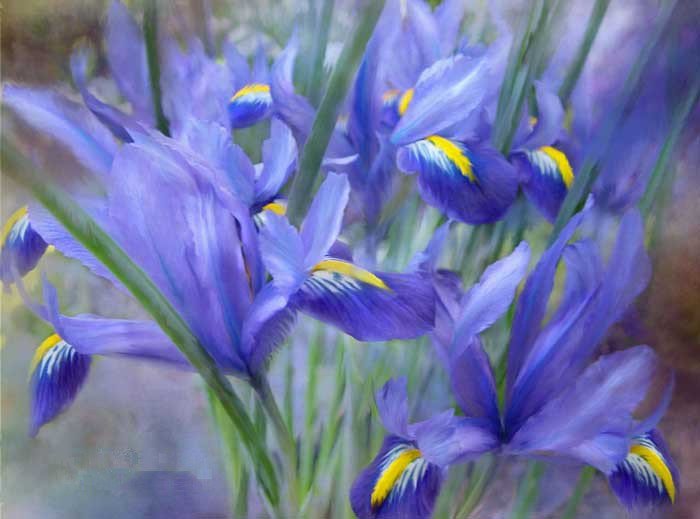 №230698 - дети, картина, живопись, девушка, цветы, фэнтези, красота женщины - оригинал