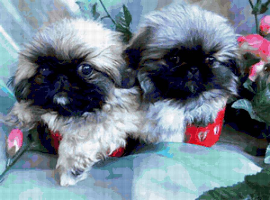 №230800 - предпросмотр