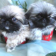 Схема вышивки «№230800»