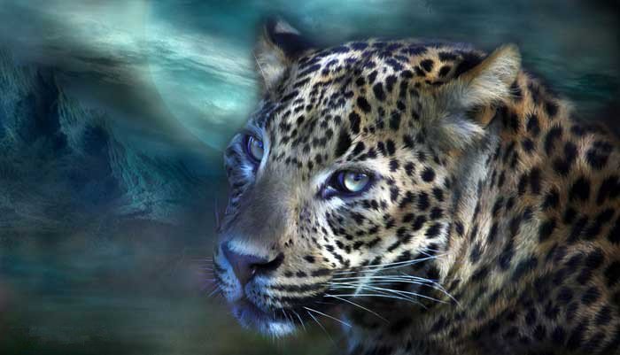 №230894 - оригинал