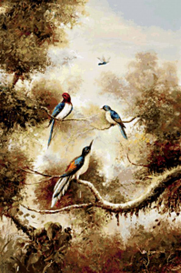 Птицы - природа, птицы - предпросмотр
