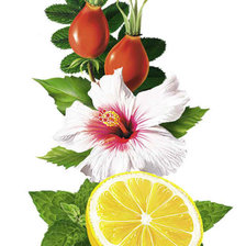 Схема вышивки «букет»