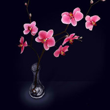 Схема вышивки «цветы»