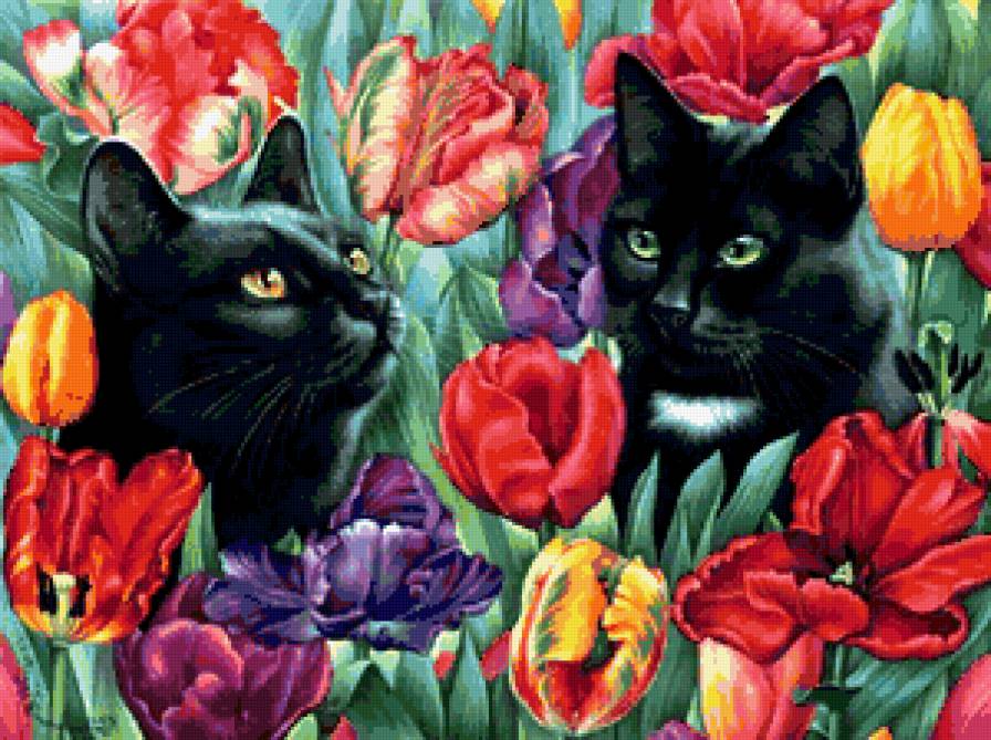 Два кота в цветах - кот, цветы - предпросмотр