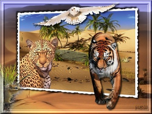 vadak - оригинал